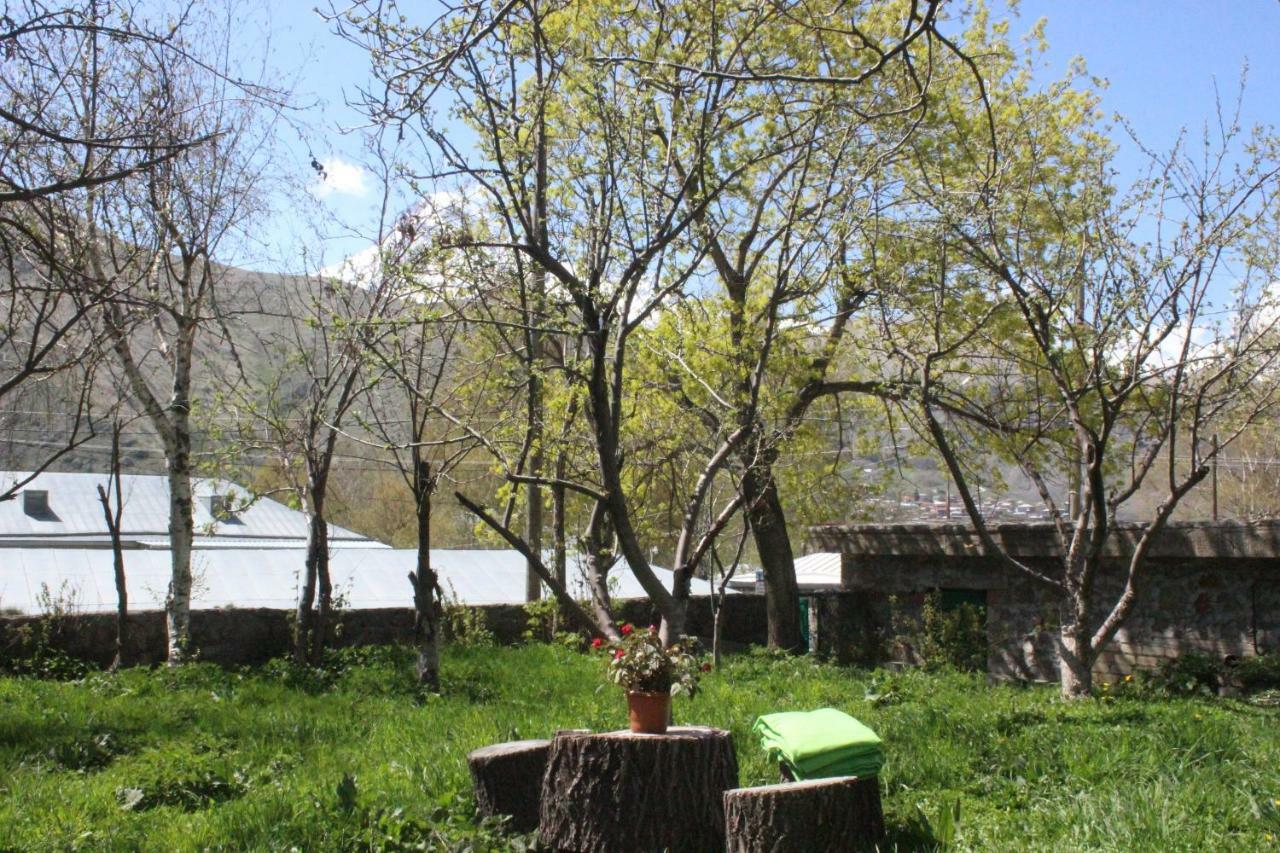 Hotel Gio-Nika Kazbegi Exterior foto