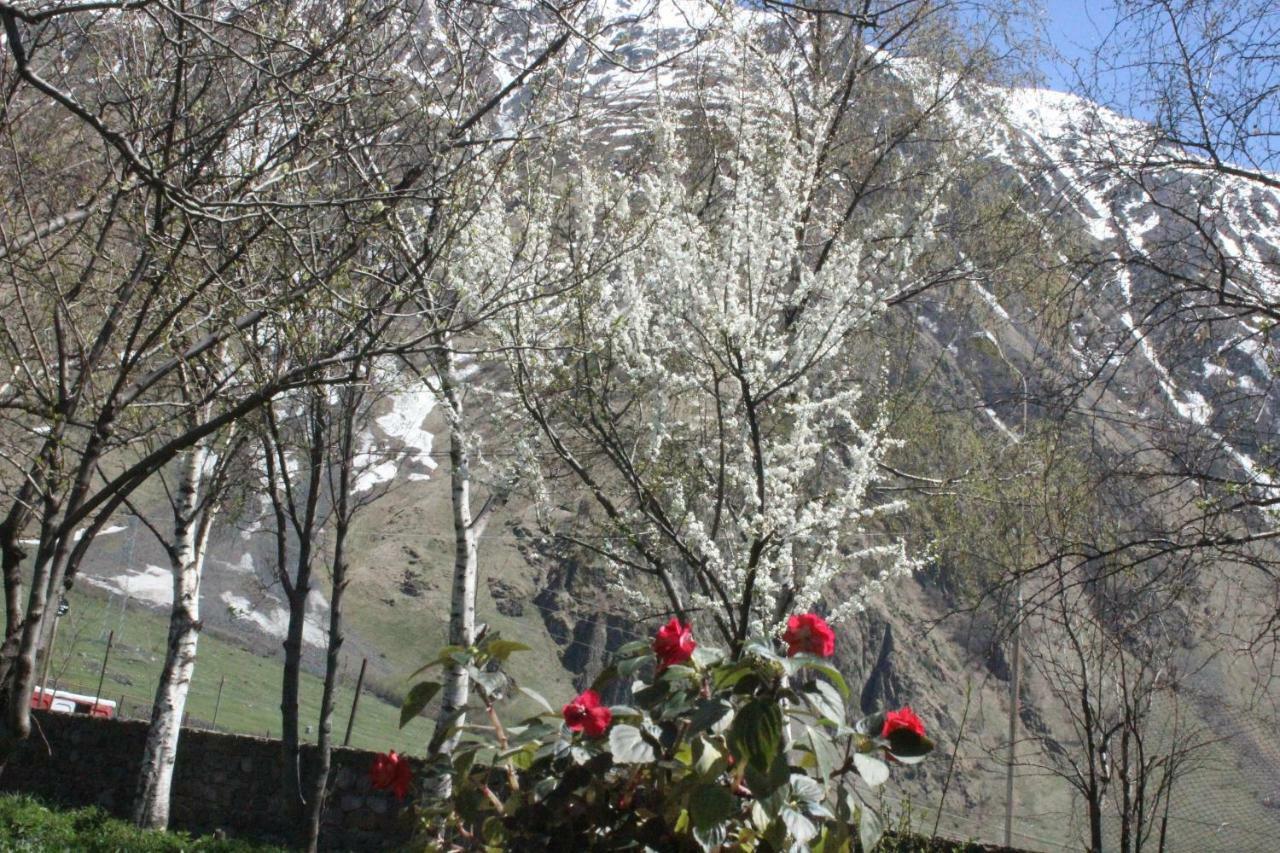 Hotel Gio-Nika Kazbegi Exterior foto